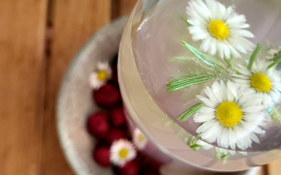 Wasserkefir: Die probiotisch leckere Limonade für Kids