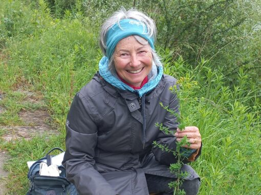 Karin Harringer-Tesch